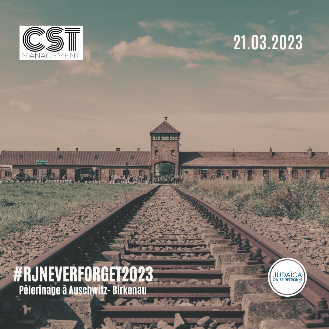 Visuel Auschwitz publi r&eacute;seau.png (1.49 MB)